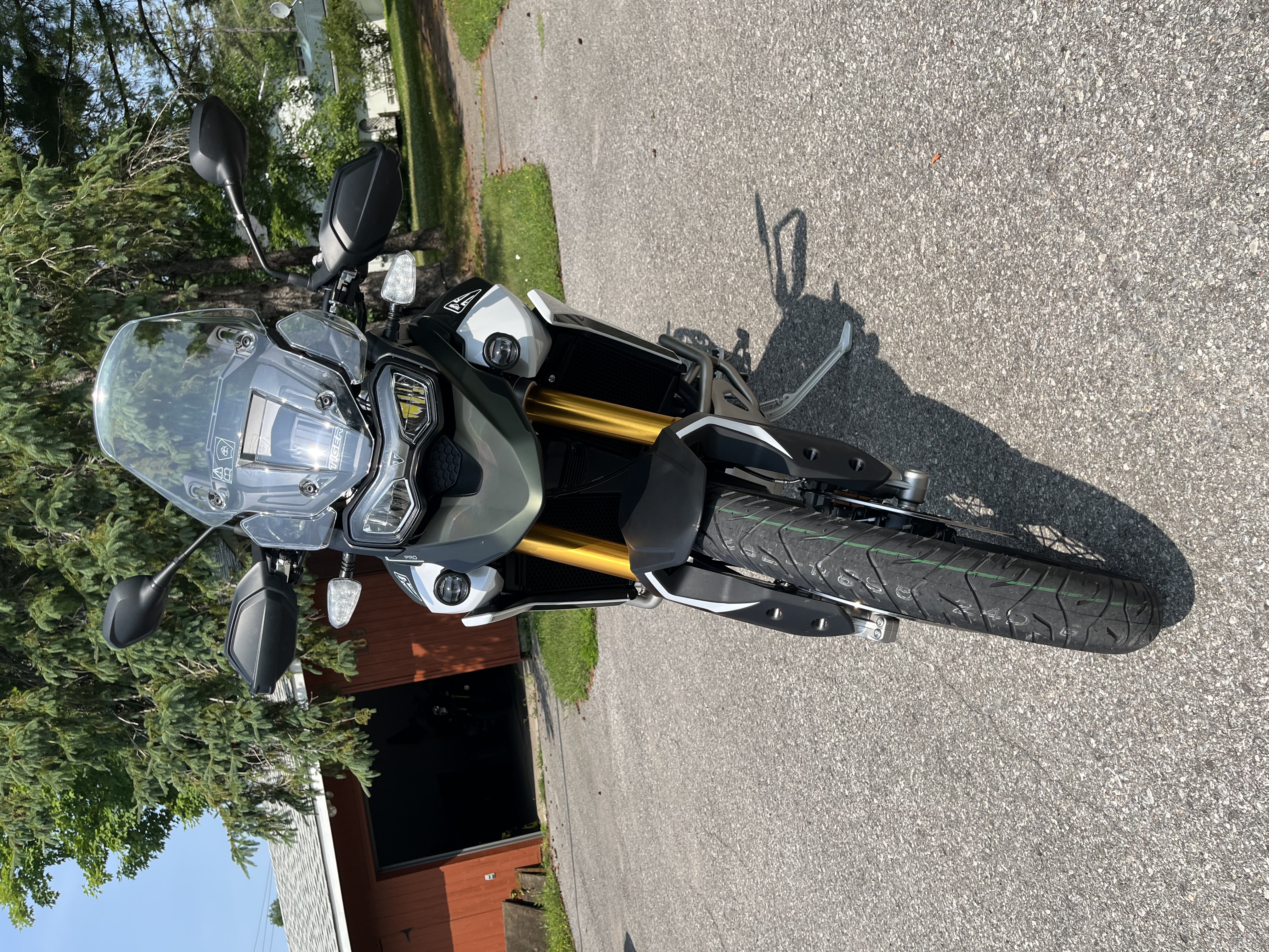 Triumph Tiger 900 Rally Pro