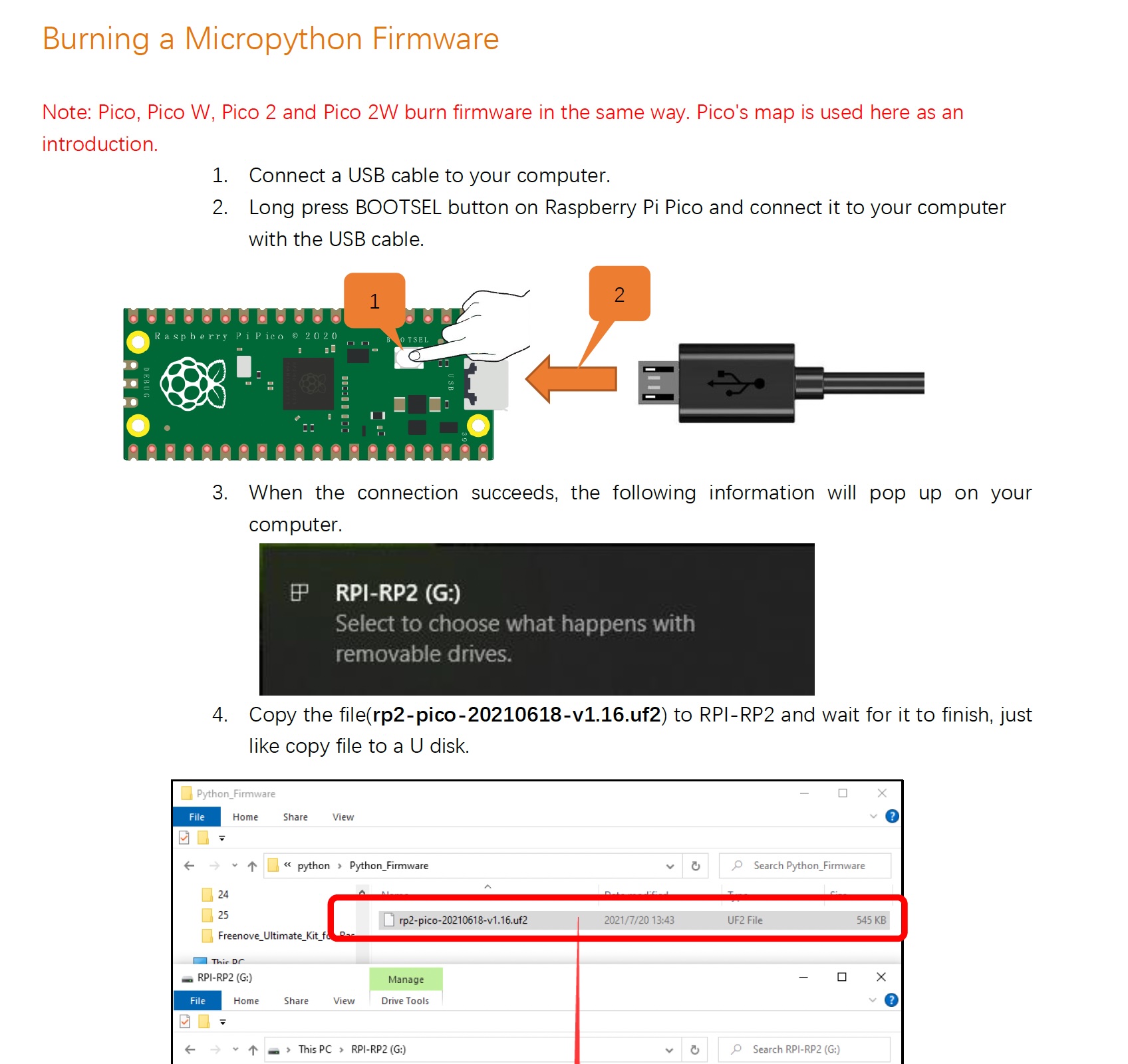 Burn Micropython Firmware