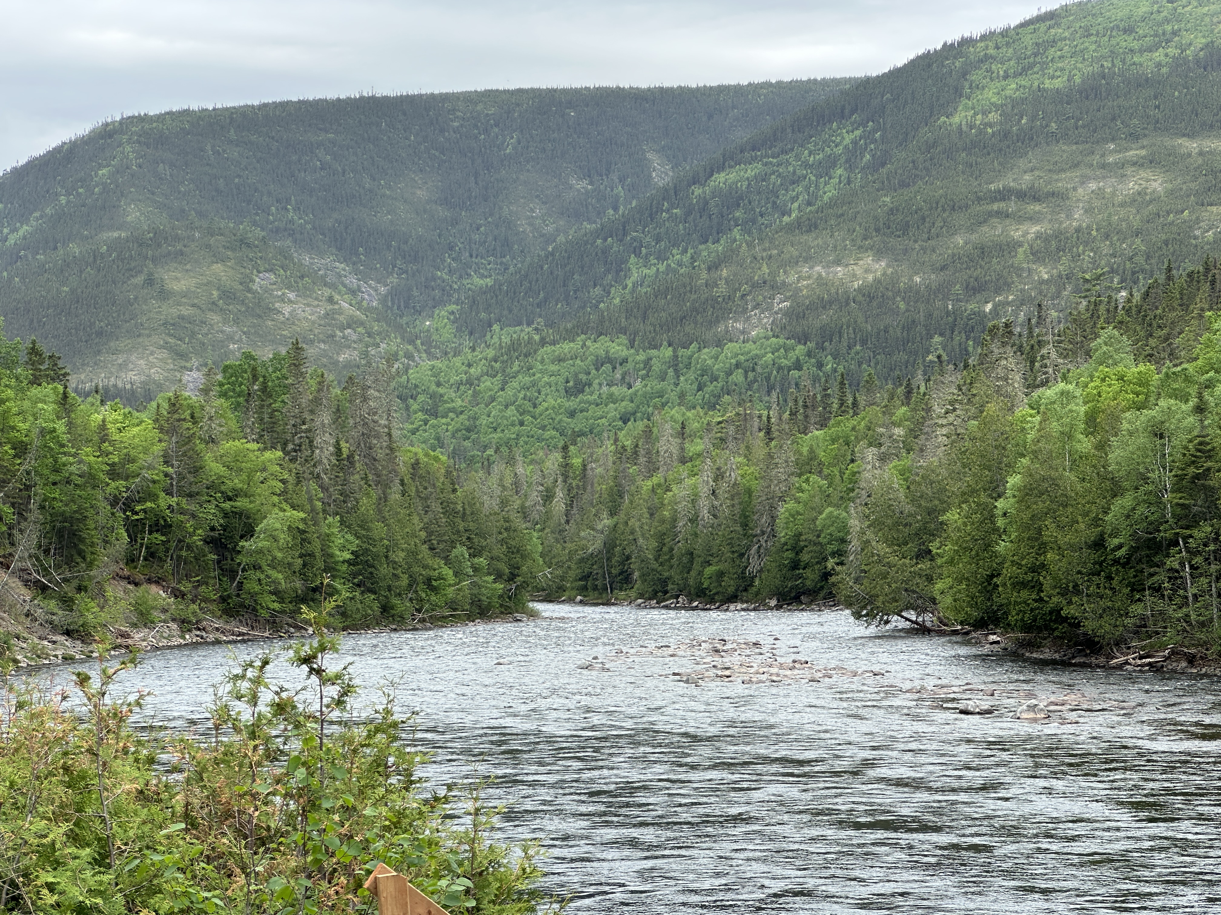 Views 299