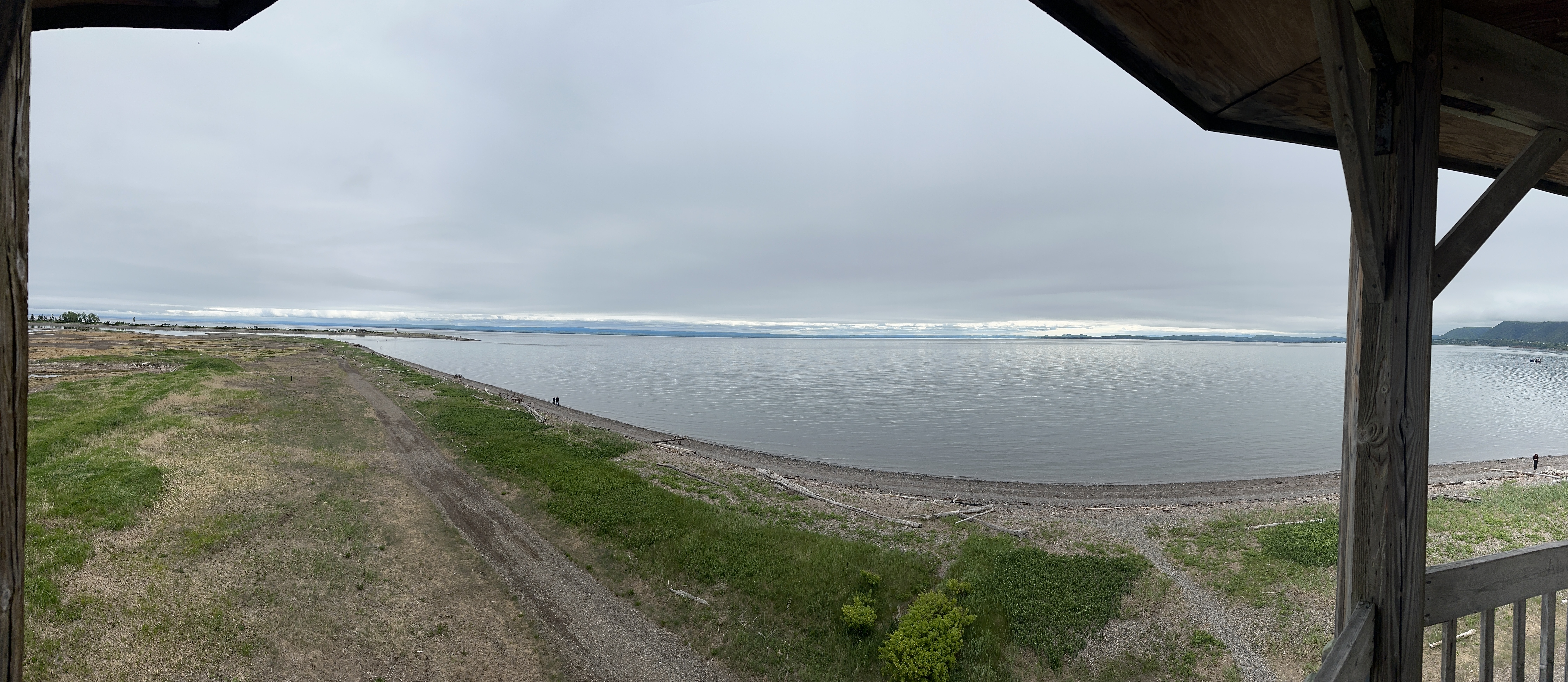 Bird Watching Tower View